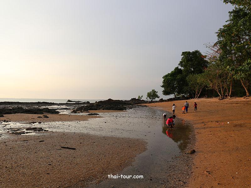 แหลมตันหยงโป และ หาดทรายยาว แหลมตันหยงโป และ หาดทรายยาว