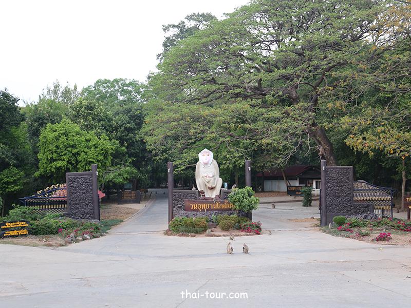 วนอุทยานโกสัมพี วนอุทยานโกสัมพี