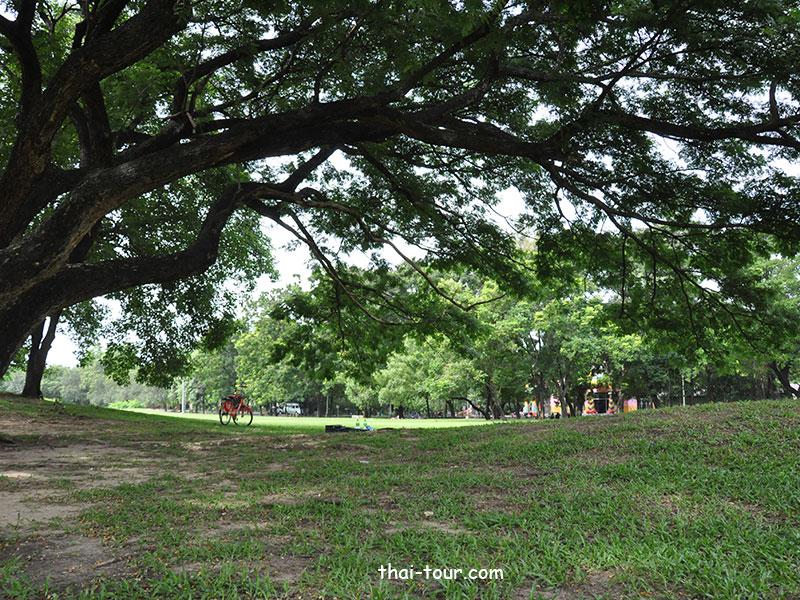 สวนรถไฟ สวนรถไฟ