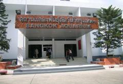 พิพิธภัณฑ์สัตว์น้ำ พิพิธภัณฑ์สัตว์น้ำ